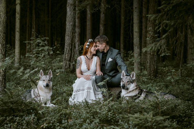 Sesja ślubna  w lesie